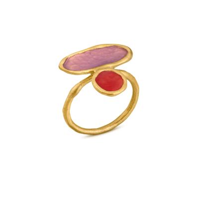 Anillo Joid