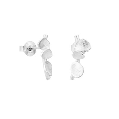 Pendientes plata 